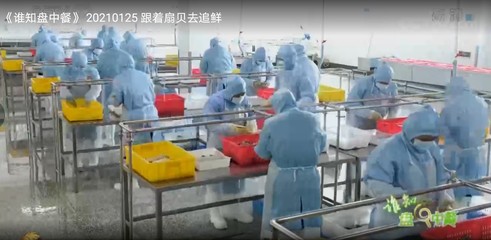 重磅!秦皇岛美烨食品亮相CCTV,演绎舌尖上的美味